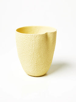 Jackfruit Vase - Golden